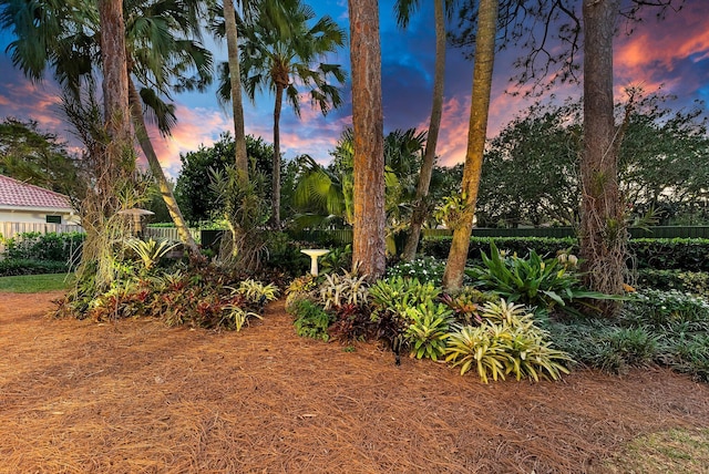 view of yard at dusk