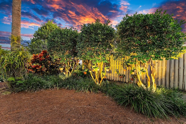 view of yard at dusk