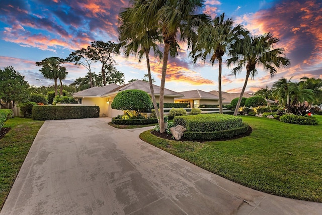 view of front of home featuring a yard