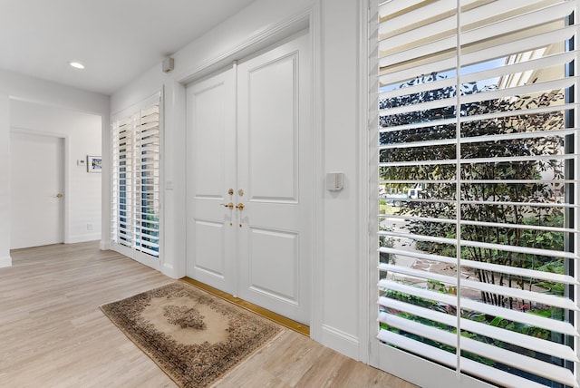 foyer entrance with hardwood / wood-style flooring and a wealth of natural light