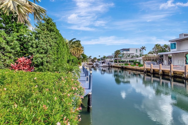 property view of water with a dock