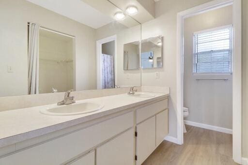 bathroom featuring hardwood / wood-style floors, vanity, and toilet