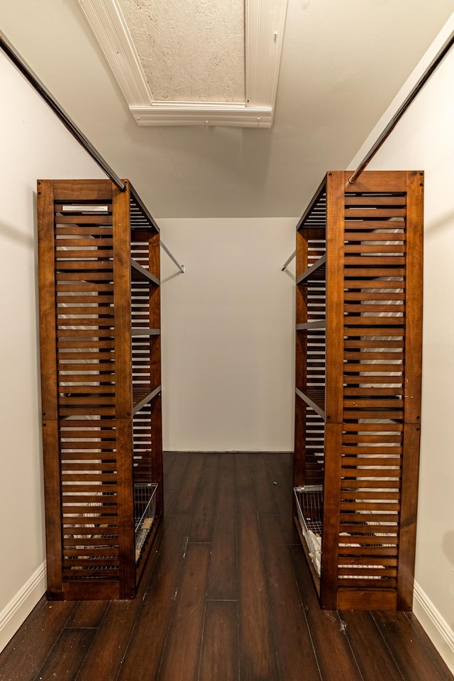 walk in closet featuring dark hardwood / wood-style flooring