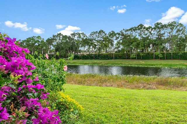 view of water feature