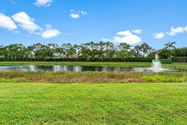 view of water feature