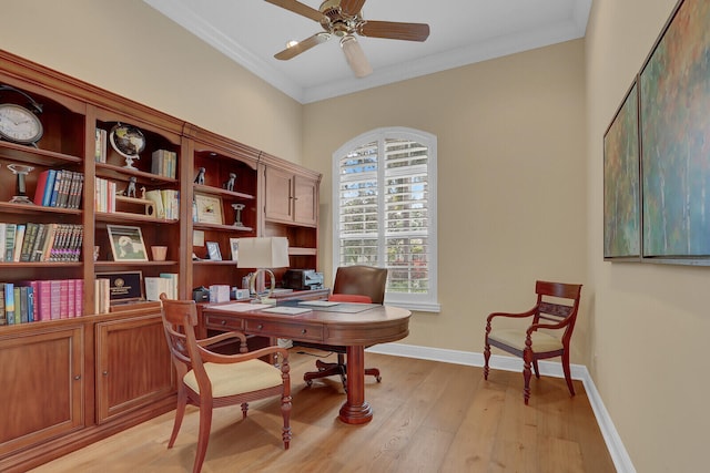 office with light wood-type flooring, ceiling fan, and crown molding