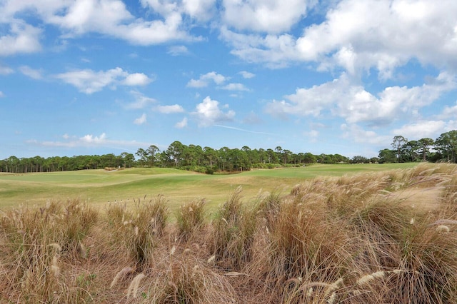 view of local wilderness