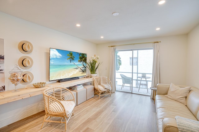 living room featuring light hardwood / wood-style flooring