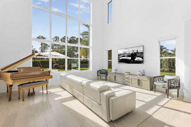 living room featuring a towering ceiling and light hardwood / wood-style flooring