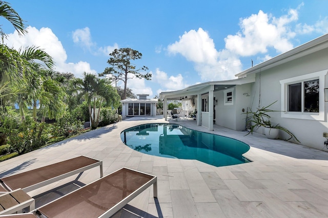 view of pool with a patio