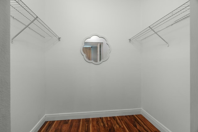 spacious closet with dark wood-type flooring