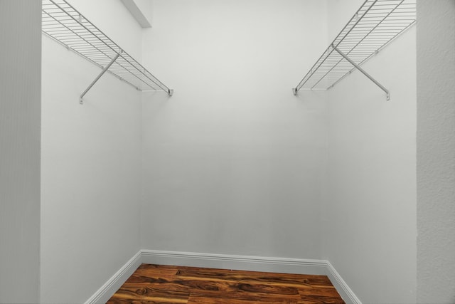 spacious closet with dark hardwood / wood-style flooring