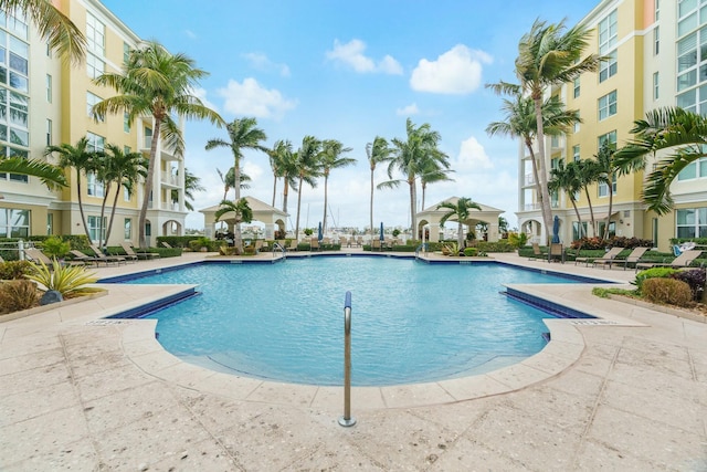 view of swimming pool featuring a patio