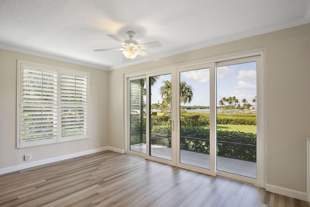 entryway featuring a textured ceiling, light hardwood / wood-style floors, and a healthy amount of sunlight