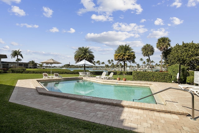 view of pool featuring a patio area and a lawn