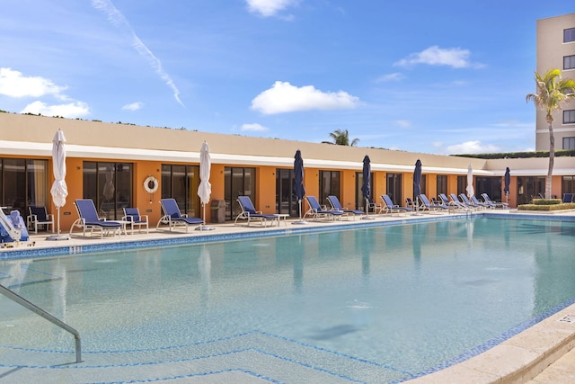 view of swimming pool with a patio area