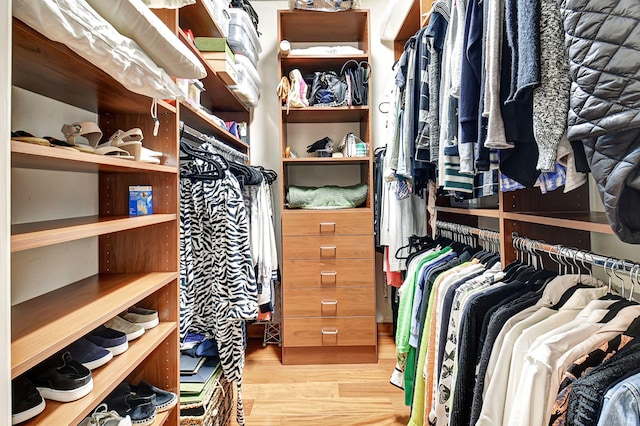 spacious closet with light hardwood / wood-style flooring