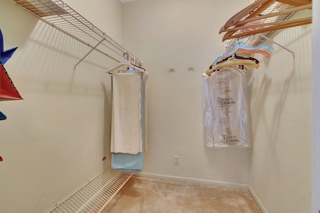 spacious closet featuring carpet flooring