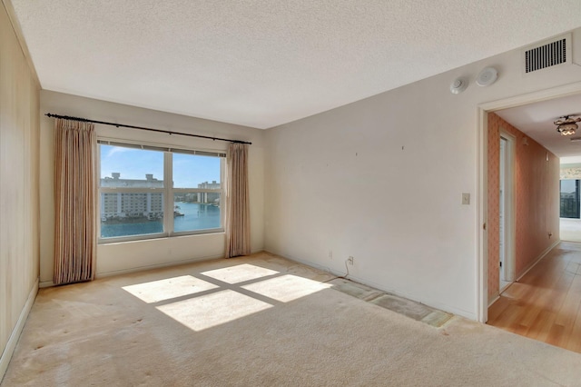 empty room featuring a water view, light carpet, and a textured ceiling