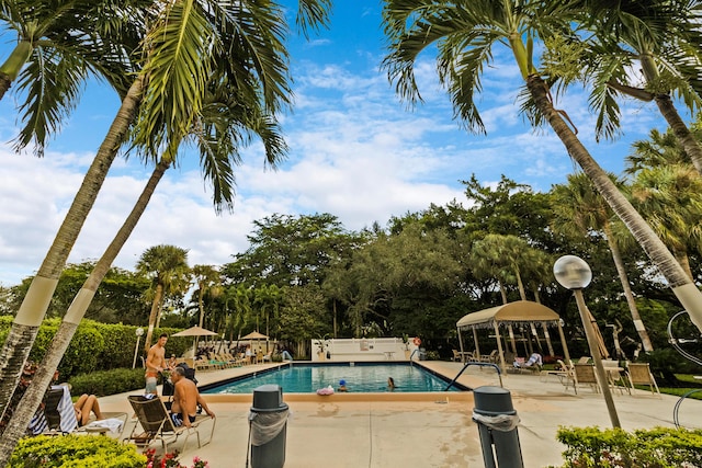 view of pool featuring a patio area