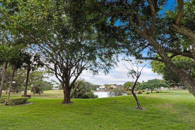 view of yard with a water view