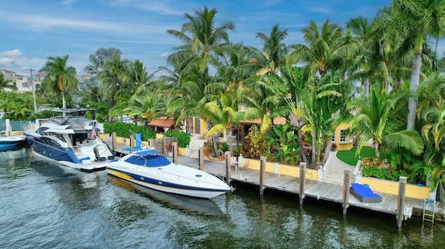 dock area featuring a water view