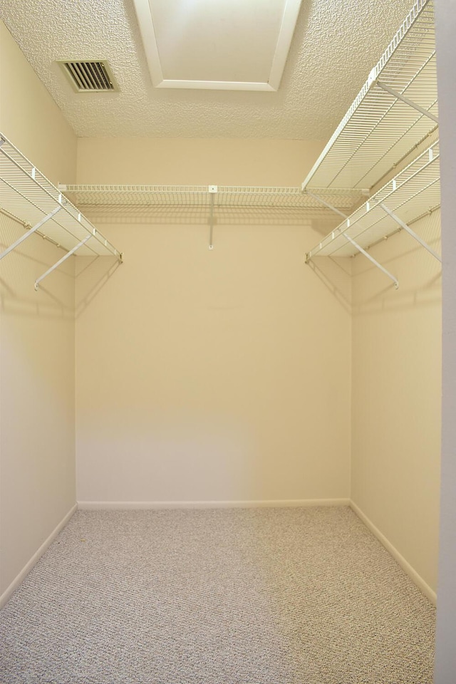 spacious closet with carpet flooring