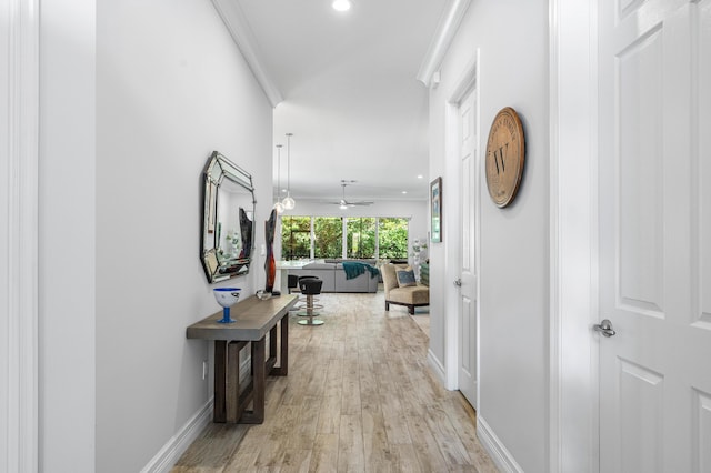 hallway featuring light hardwood / wood-style floors and ornamental molding