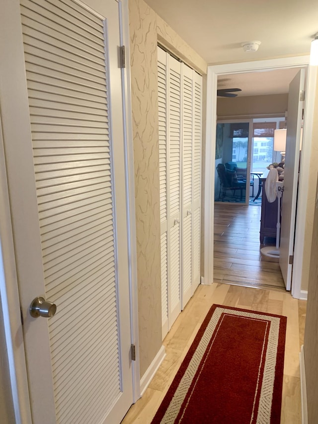 hallway featuring light hardwood / wood-style floors