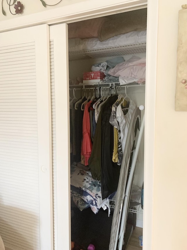 view of closet