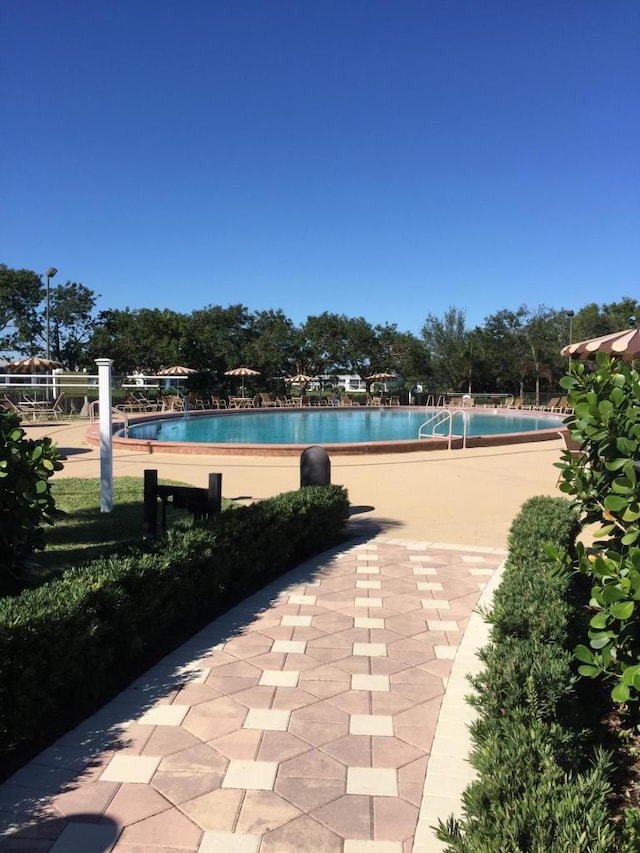 view of swimming pool featuring a patio area