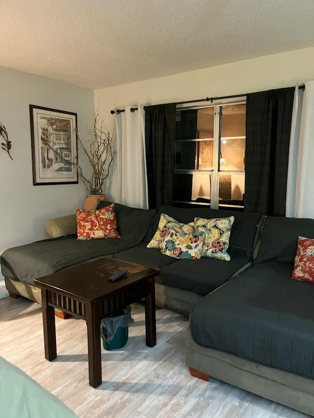 living room featuring a textured ceiling and hardwood / wood-style flooring