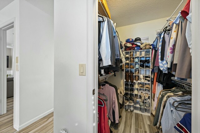 walk in closet featuring hardwood / wood-style flooring