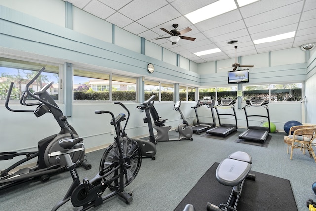 exercise room with carpet flooring, a paneled ceiling, and ceiling fan