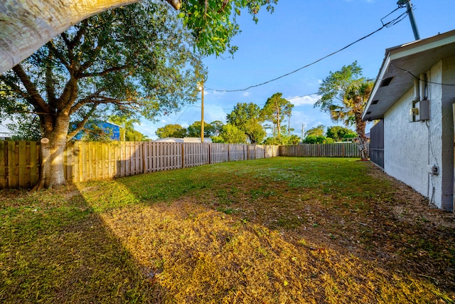 view of yard