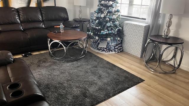 living room with hardwood / wood-style floors