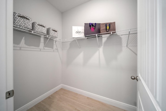 walk in closet with wood-type flooring