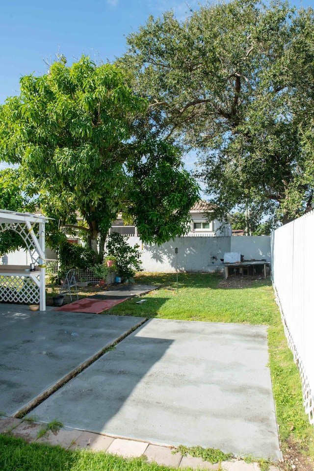 view of yard with a patio