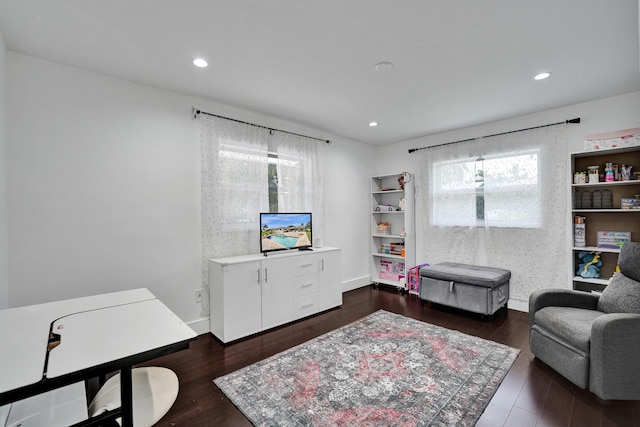 living room featuring dark hardwood / wood-style flooring