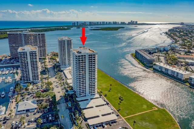 aerial view with a water view