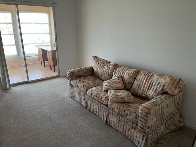 living room featuring light carpet