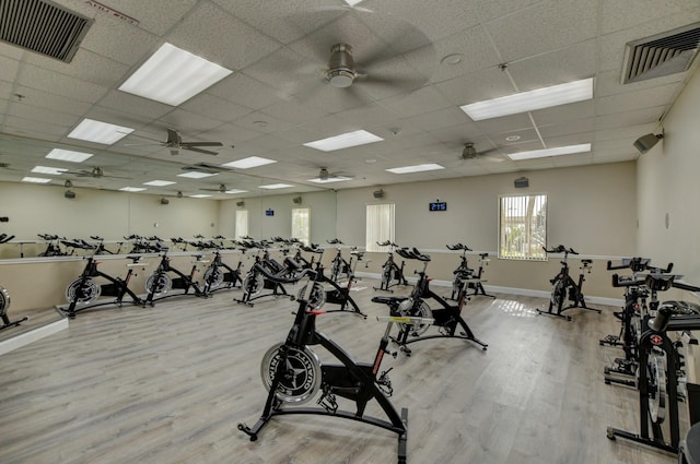 gym with light wood-type flooring, a drop ceiling, and ceiling fan