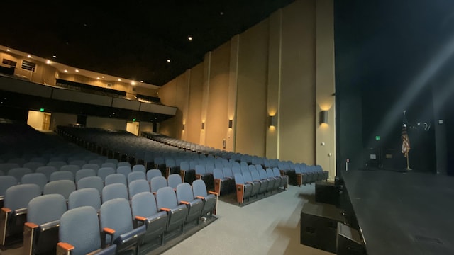 cinema room featuring carpet flooring and a high ceiling