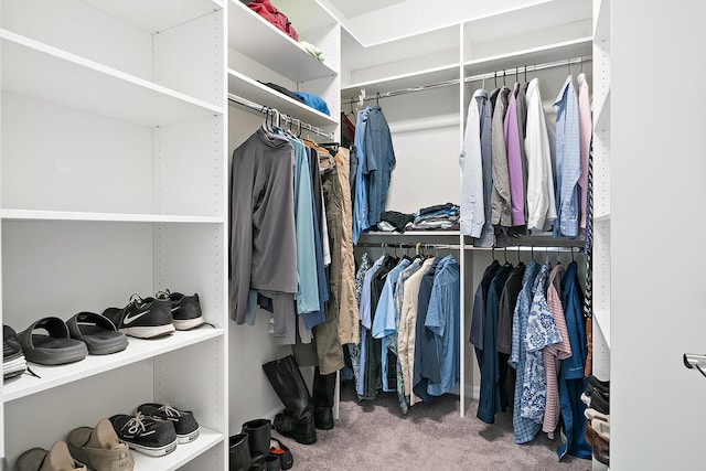 spacious closet with carpet