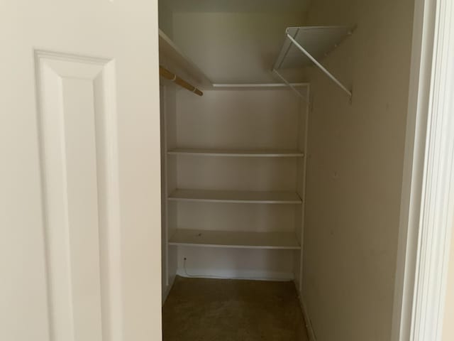 spacious closet with carpet