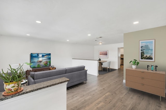 living room with wood-type flooring