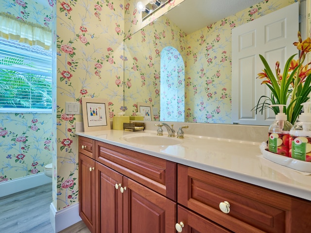 bathroom with wood-type flooring, vanity, and toilet