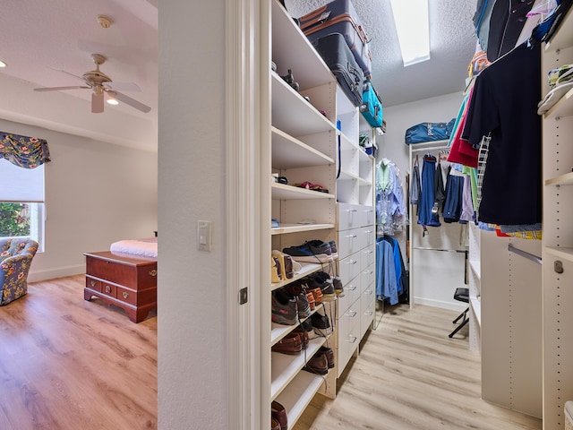 spacious closet featuring ceiling fan and light hardwood / wood-style flooring