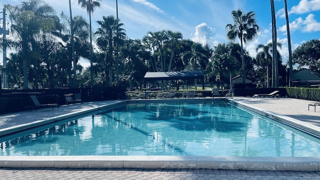 view of swimming pool with a patio area