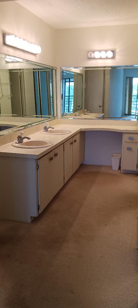 bathroom featuring carpet, plenty of natural light, a textured ceiling, and vanity